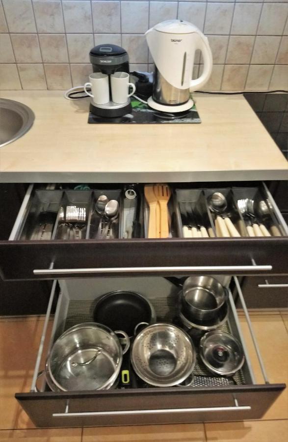 Apartament Radowid 15 W Centrum Z Basenem Zakopane Eksteriør billede